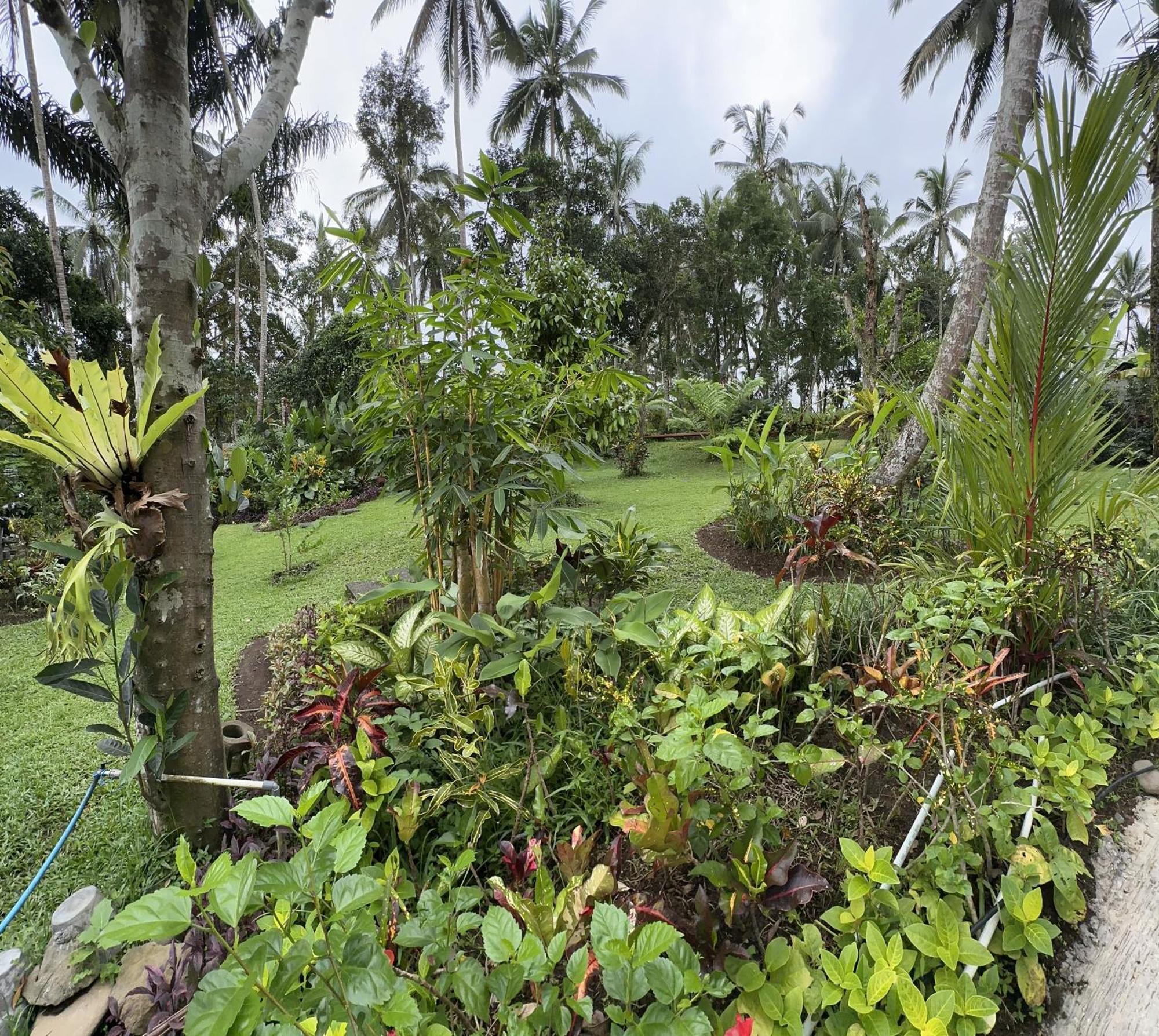 Kaja Villa Ubud Exterior foto